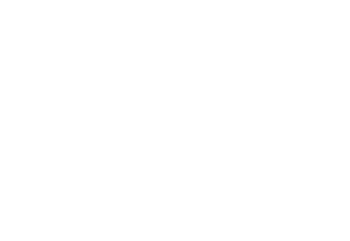 Bosi Construction Logo